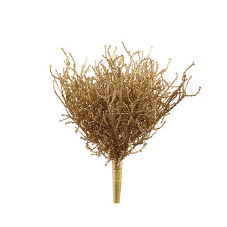 PTMD Leaves Plant gold coral grass bush