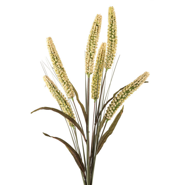 PTMD Twig Plant cream green cattail spray