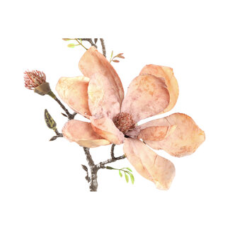 PTMD Magnolia Flower brown magnolia spray with buds