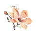 PTMD Magnolia Flower brown magnolia spray with buds