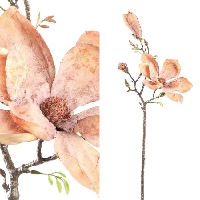 PTMD Magnolia Flower brown magnolia spray with buds