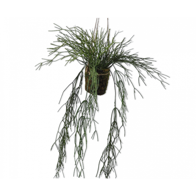 Silk-Ka PLANT HANG SUCCULENT GROEN 83 cm