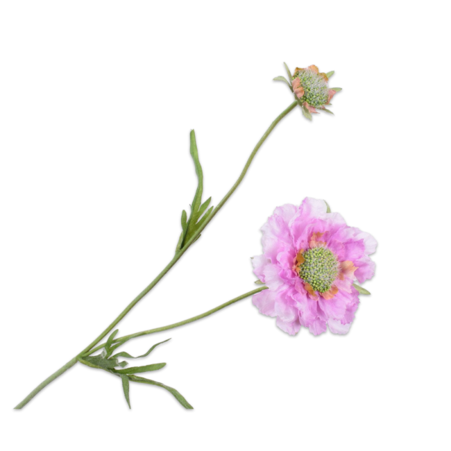 Silk-Ka SCABIOSA TAK LAV/CR 53 cm