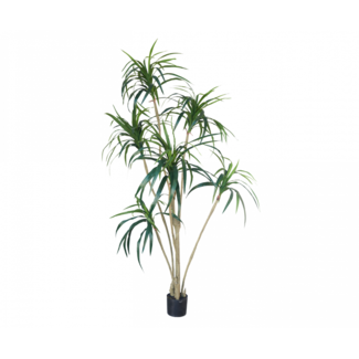 Silk-Ka YUCCA GROEN 180 cm