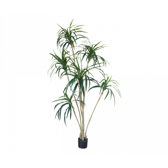 Silk-Ka YUCCA GROEN 180 cm