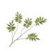 Silk-Ka BLADTAK GROEN 107 cm