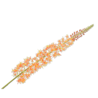 Silk-Ka EREMURUS STEEL ORANJE 119 cm