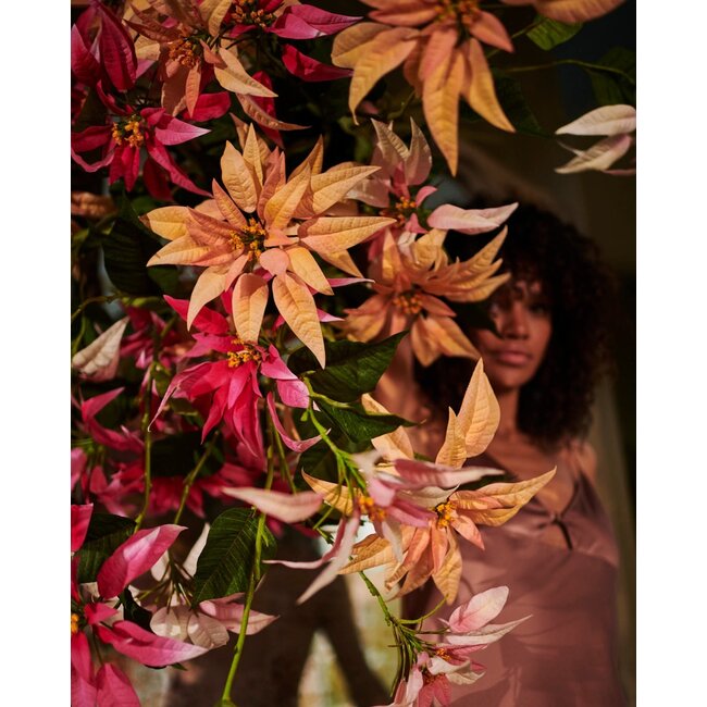 Silk-Ka POINSETTIA TAK FUCHSIA 119 cm