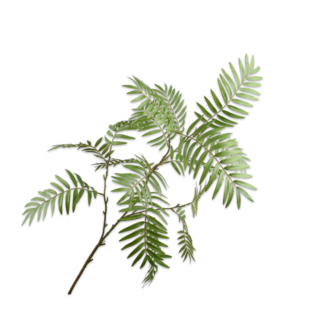 Silk-Ka BLADTAK GROEN 138 cm