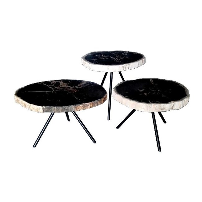 PTMD New Khine Petrified wood coffee table black S