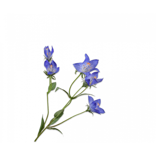 Silk-Ka CAMPANULA TAK BLAUW 62 cm