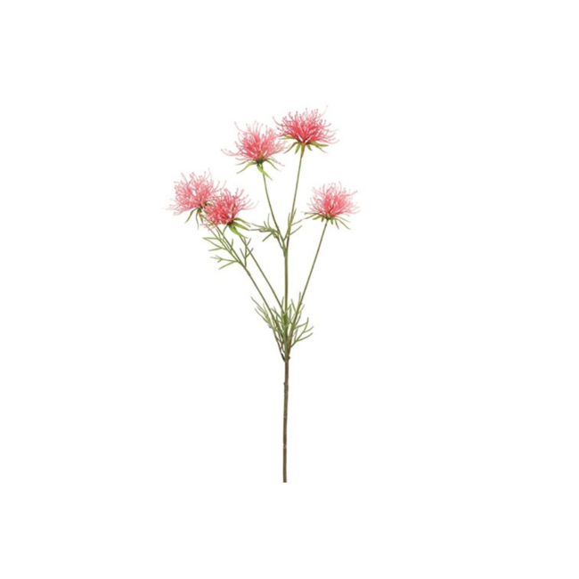 Decostar Hakea donker roze 75 cm
