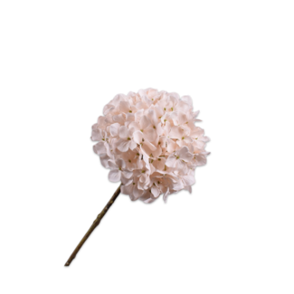 Silk-Ka HORTENSIA STEEL CREME 70 cm