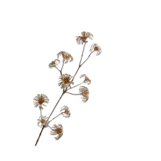 Silk-Ka CLEMATIS TAK GOUD 107 cm