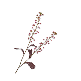 Silk-Ka PRIMULA TAK ROZE 85 cm