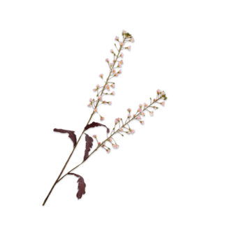 Silk-Ka PRIMULA TAK ROZE 85 cm