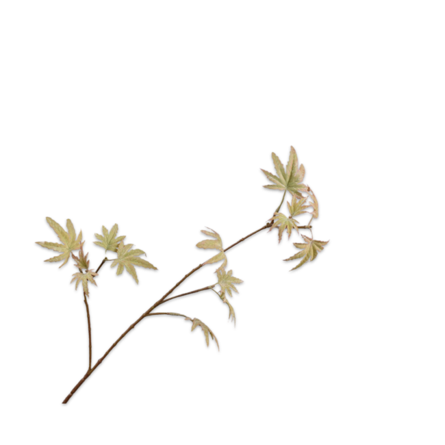 Silk-Ka ESDOORN TAK GROEN 68 cm