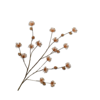 Silk-Ka NAALDTAK GOUD 125 cm