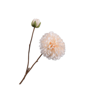 Silk-Ka DAHLIA TAK CREME 60 cm