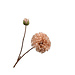 Silk-Ka DAHLIA TAK CHAMPAGNE 60 cm