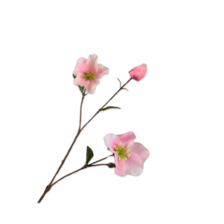 Silk-Ka HELLEBORUS TAK ROZE RT 65 cm