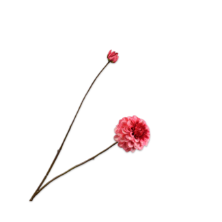 Silk-Ka DAHLIA TAK ROZ/BTY 86 cm