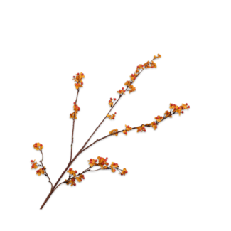 Silk-Ka CELASTRUS TAK ORANJE 109 cm