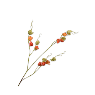 Silk-Ka PHYSALIS TAK ORA/GRN 124 cm