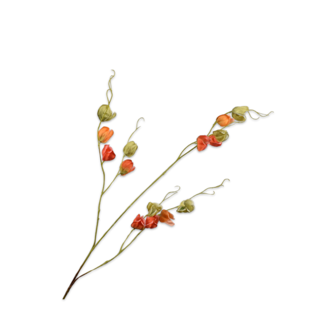 Silk-Ka PHYSALIS TAK ORA/GRN 124 cm