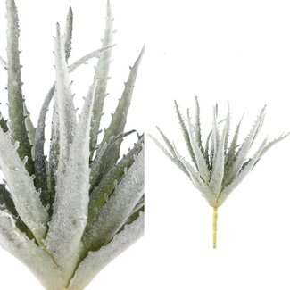 PTMD Leaves Plant green flocked aloe succulent plant