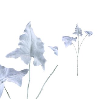 PTMD Leaves Plant Grey flocked leaves spray PTMD Leaves Plant Grey flocked leaves spray