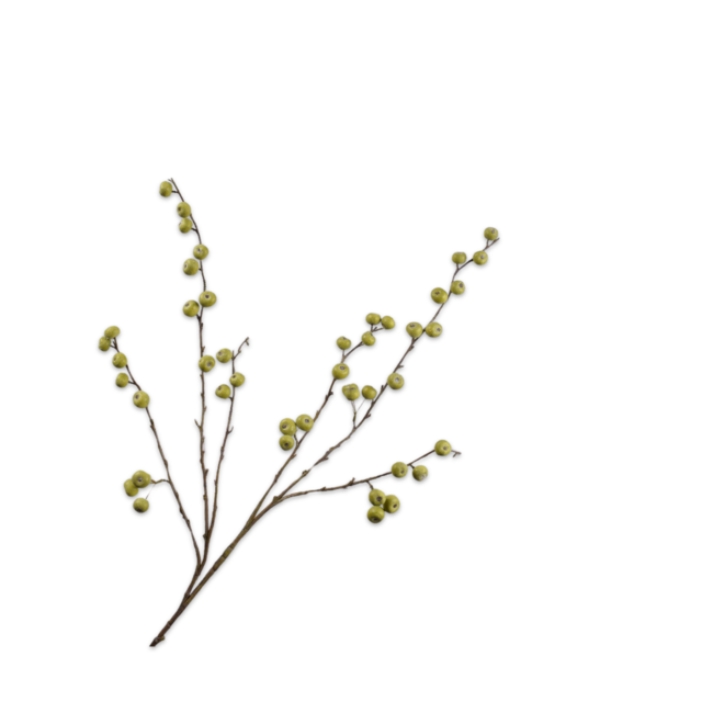 Silk-Ka APPEL TAK GROEN 123 cm
