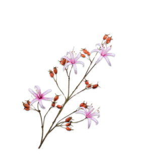 Silk-Ka ROZENBOTTEL TAK ORANJE 67 cm