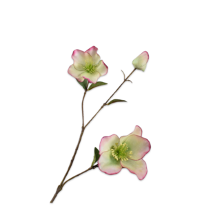 Silk-Ka HELLEBORUS TAK GROEN RT 65 cm