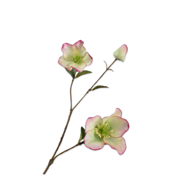 Silk-Ka HELLEBORUS TAK GROEN RT 65 cm