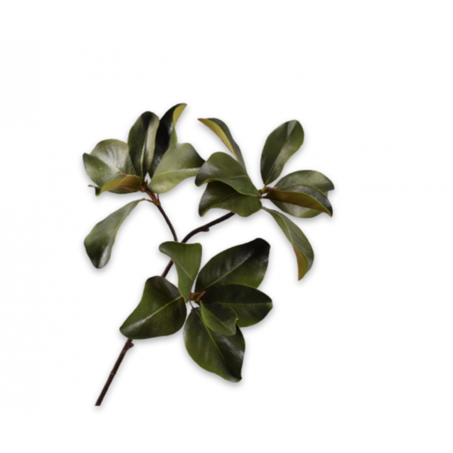 Silk-Ka MAGNOLIA TAK GROEN 99 cm