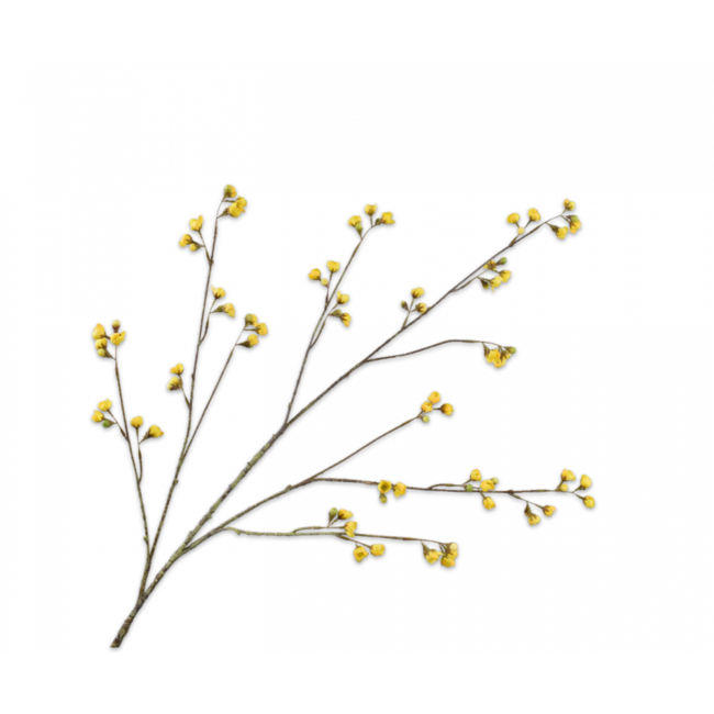 Silk-Ka BLOESEM TAK GEEL 127 cm