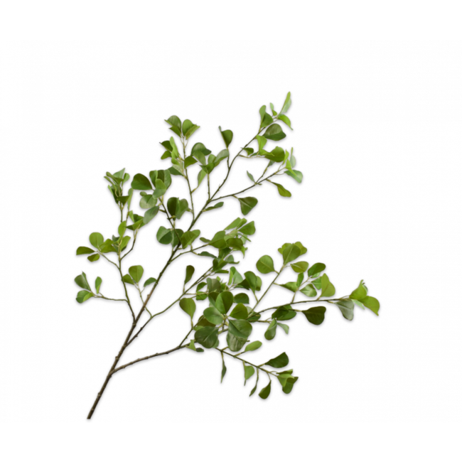 Silk-Ka SCHEFFLERA TAK GROEN 111 cm