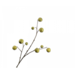 Silk-Ka APPEL TAK GROEN 123 cm
