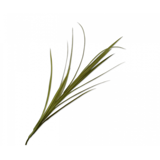 Silk-Ka GRAS TAK GROEN 122 cm