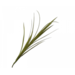 Silk-Ka GRAS TAK GROEN 122 cm