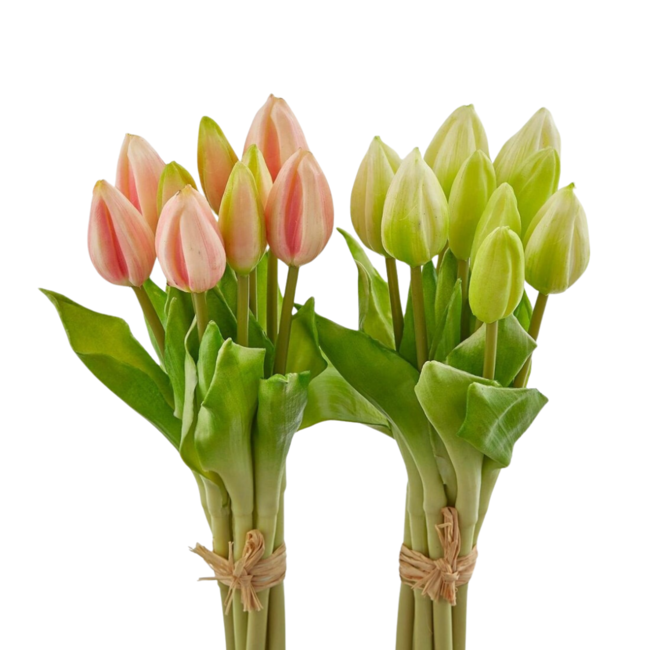 EDG Bosje Tulpen Green Pink 9 stuks H29 cm 2 as.
