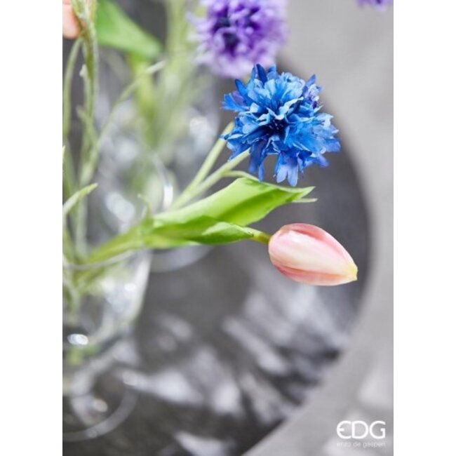 EDG Bosje Tulpen Green Pink 9 stuks H29 cm 2 as.