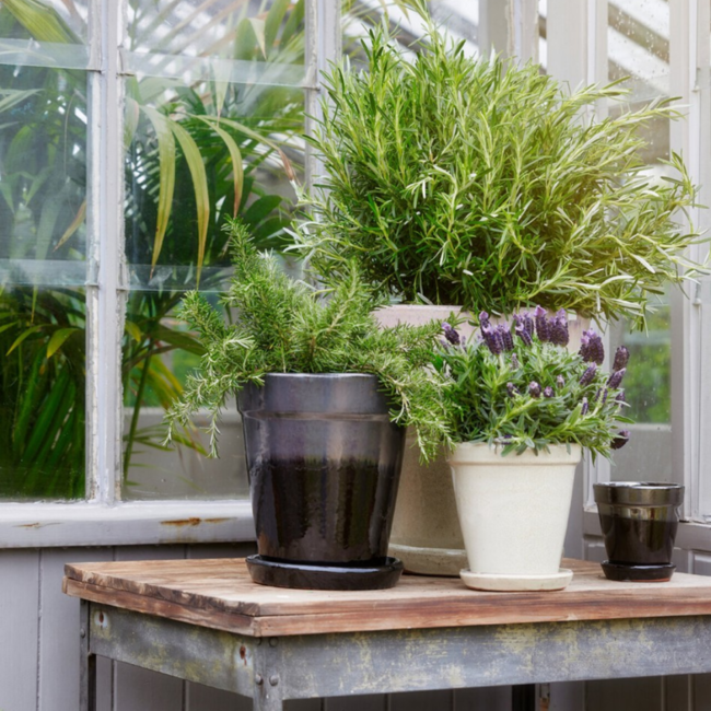 EDG VASO GLAZE SVA.H11 D11 C/SOTTOV. B9 2