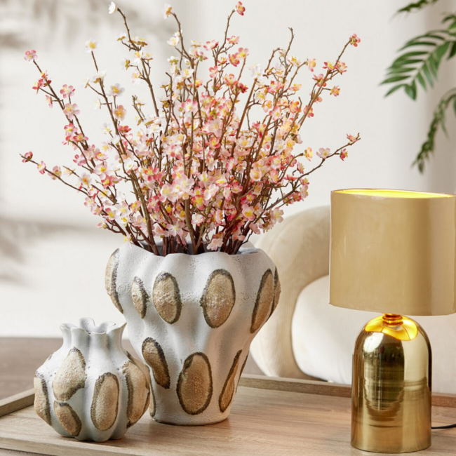 EDG VASO CHAKRA MACULA H18 D19,5 C3