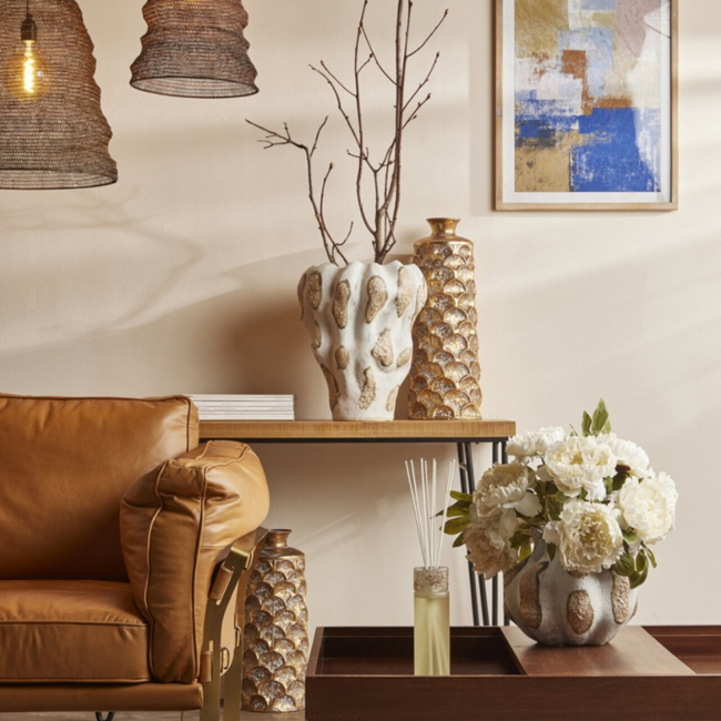 EDG VASO CHAKRA MACULA H25 D27 C3