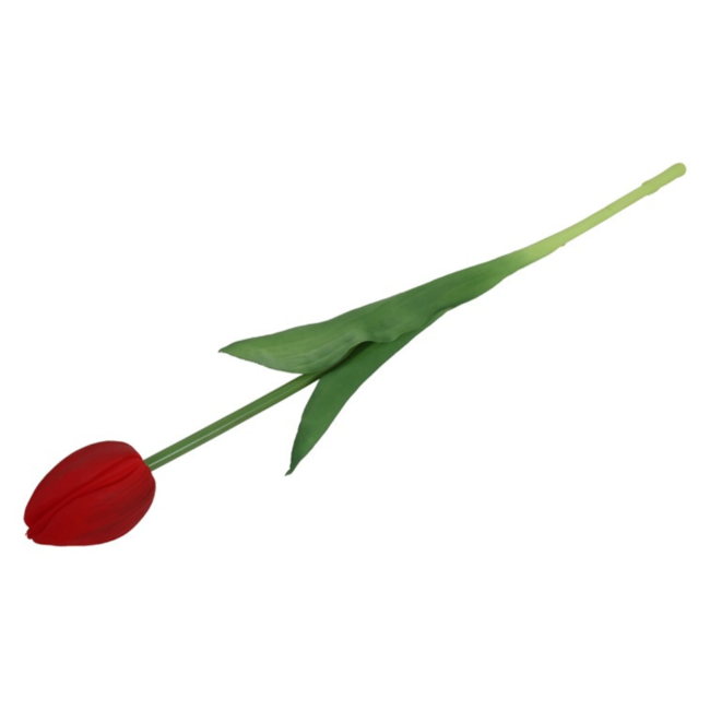 Pioen tulp fuchsia 43cm