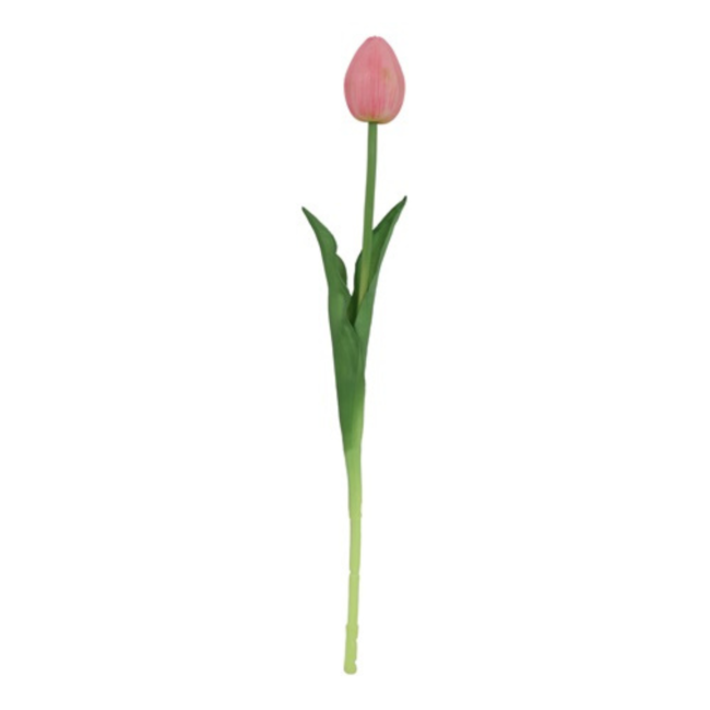 Pioen tulp roze 43cm