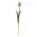 Pioen tulp roze 43cm