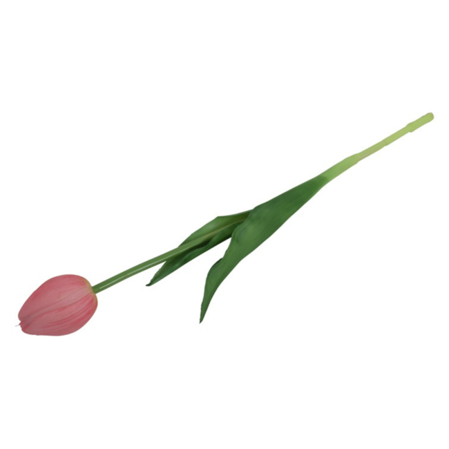 Pioen tulp roze 43cm